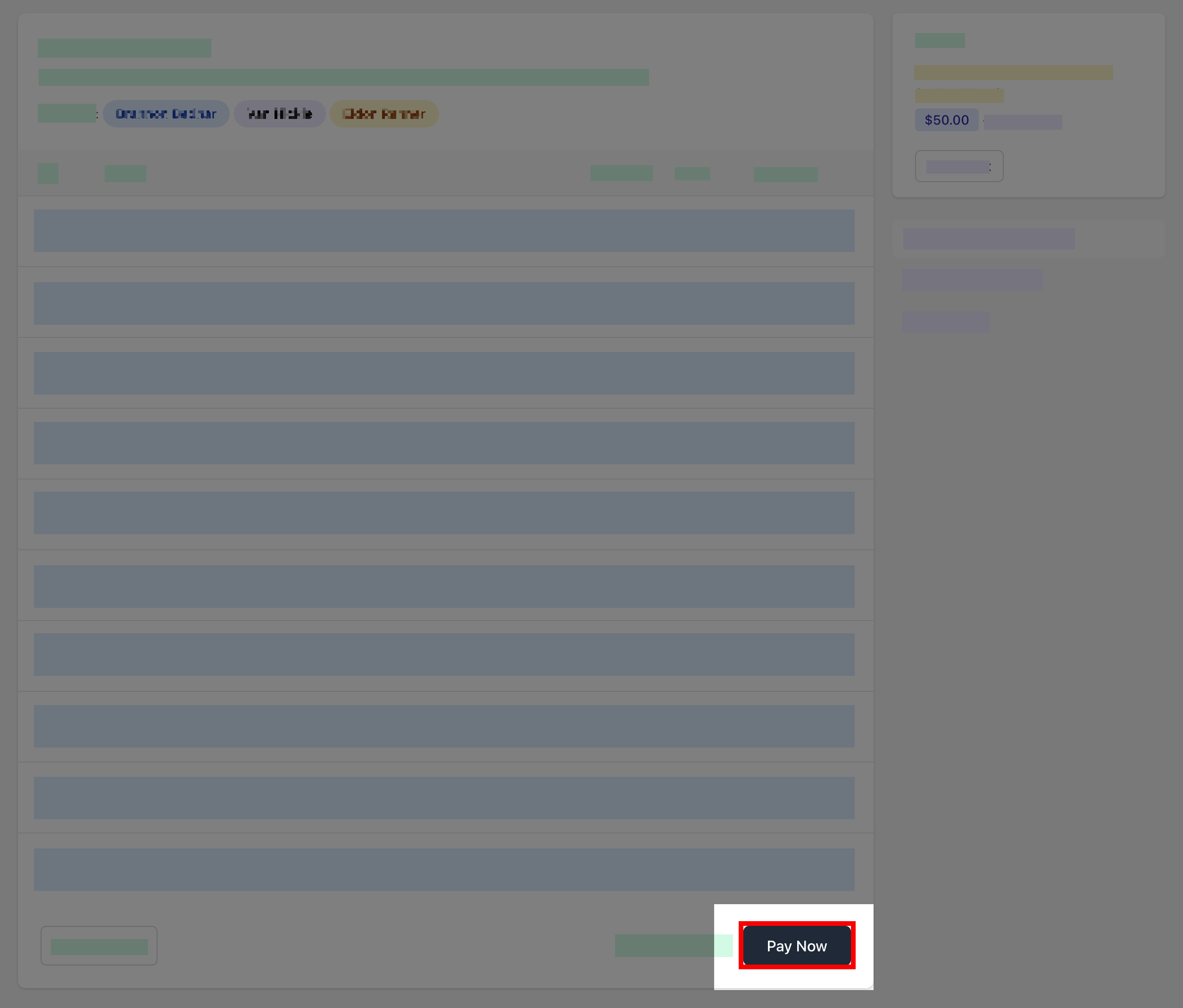 Parent Portal - SOA - pay now.png